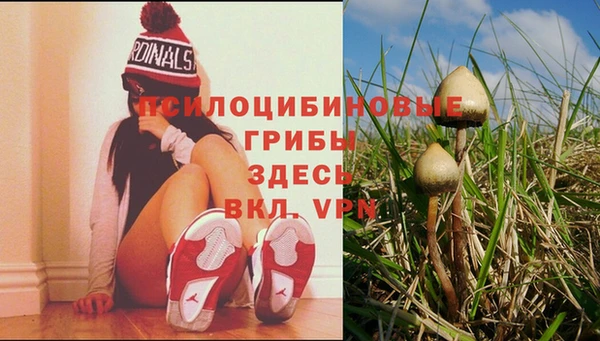 шишки Покровск