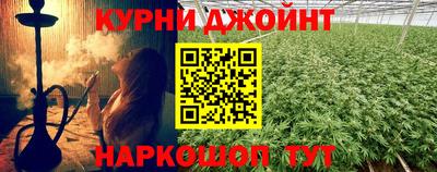 сатива Гатчина