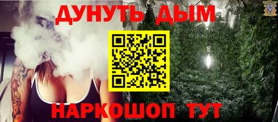 сатива Гатчина