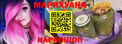 сатива Гатчина