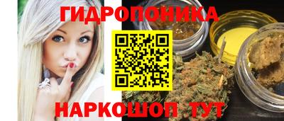 дурь Гай