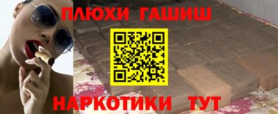 сатива Гатчина