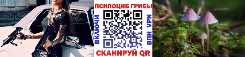 Псилоцибиновые грибы GOLDEN TEACHER  Братск 